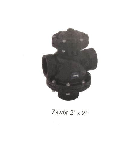 3976.jpg