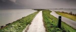 trawa barenbrug watersaver.jpg