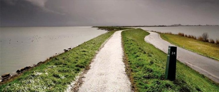 trawa barenbrug watersaver.jpg
