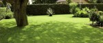 barenbrug shadow.jpg