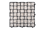 WBR_001.png