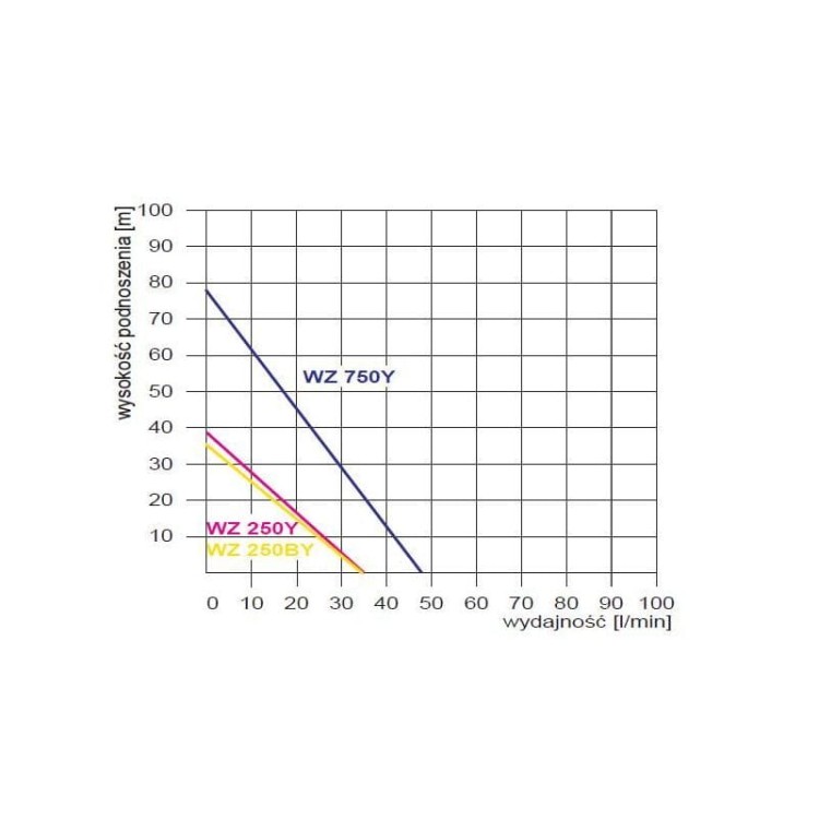 wz-750-230v-pompa-hydroforowa-z-osprzetem (1).jpg