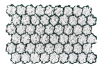 WBR_002.png